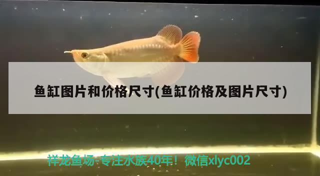 魚缸圖片和價格尺寸(魚缸價格及圖片尺寸)