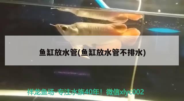 鹽城水族批發(fā)市場有哪些品種的魚類（凸透鏡成像練習題ukykkikyk） 觀賞魚水族批發(fā)市場 第2張