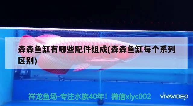 冬天小金魚怎么養(yǎng)生病了怎么辦 刀魚魚 第2張