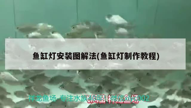 一米八的魚缸大概多重：一米八的魚缸有多少公斤水 養(yǎng)魚的好處 第2張