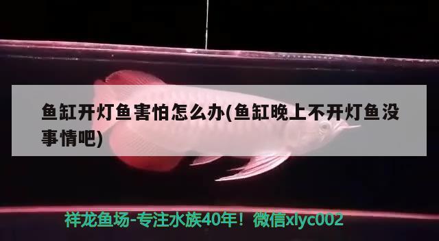 魚(yú)缸里放幾個(gè)硬幣財(cái)運(yùn)好（聽(tīng)朋友說(shuō)魚(yú)缸不養(yǎng)魚(yú)，放硬幣，擺放位置沖著） 喂食器 第2張