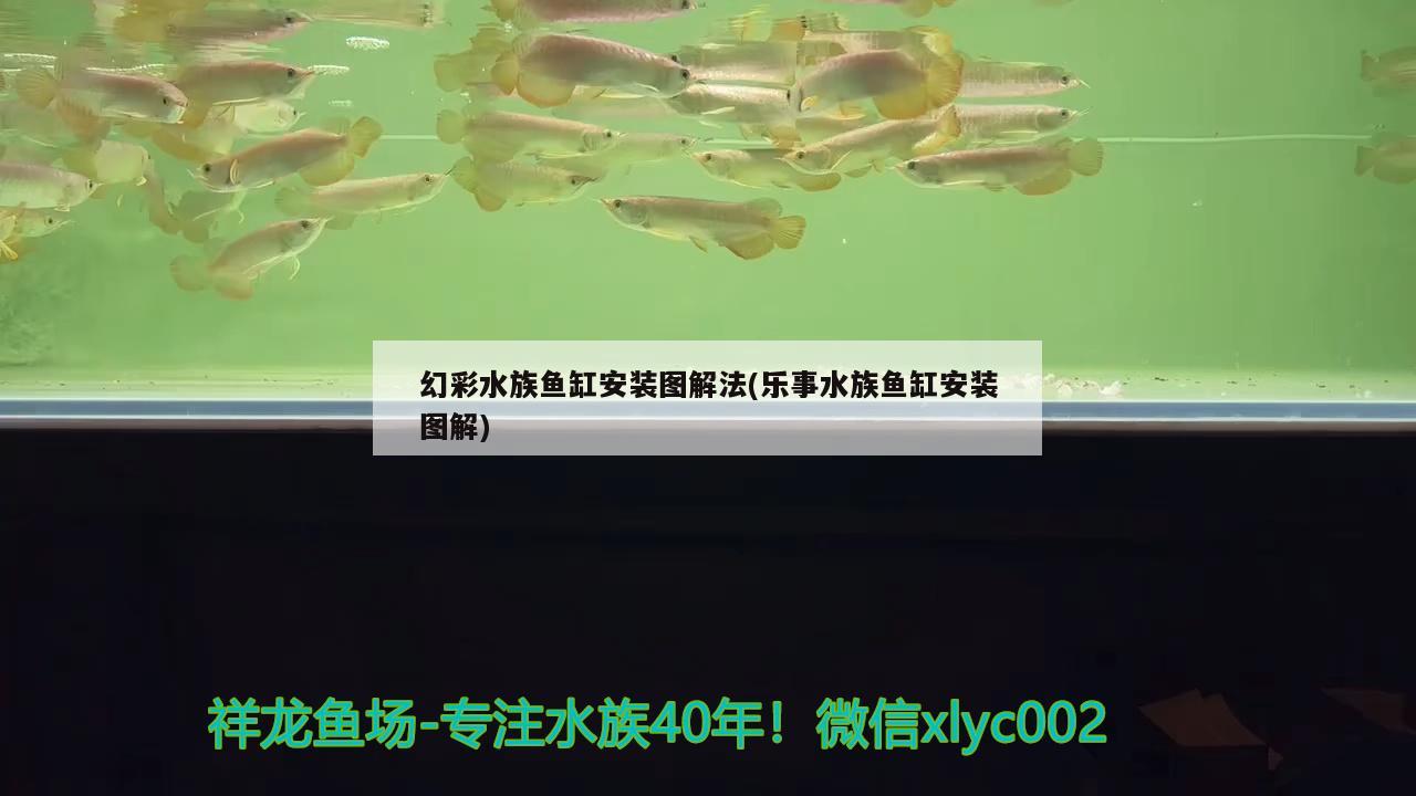 幻彩水族魚缸安裝圖解法(樂事水族魚缸安裝圖解) 野生地圖魚