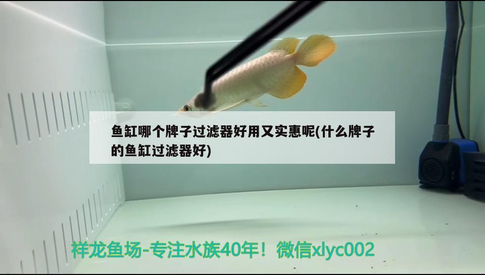 魚(yú)缸哪個(gè)牌子過(guò)濾器好用又實(shí)惠呢(什么牌子的魚(yú)缸過(guò)濾器好)