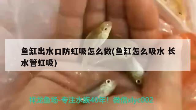 魚缸出水口防虹吸怎么做(魚缸怎么吸水長水管虹吸) 大白鯊魚