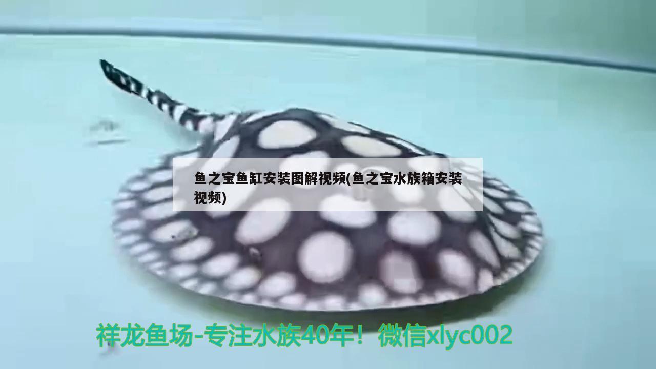 魚(yú)之寶魚(yú)缸安裝圖解視頻(魚(yú)之寶水族箱安裝視頻) 魚(yú)缸/水族箱