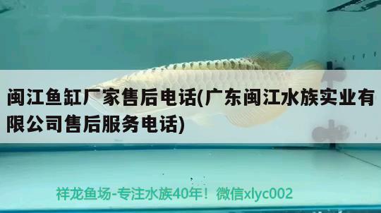 閩江魚缸廠家售后電話(廣東閩江水族實(shí)業(yè)有限公司售后服務(wù)電話)