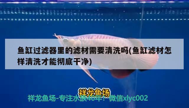 魚缸溢流過濾原理(魚缸溢流過濾原理圖解)