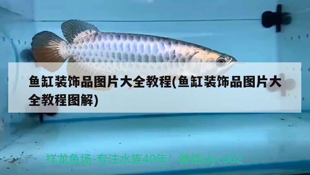 魚缸裝飾品圖片大全教程(魚缸裝飾品圖片大全教程圖解)