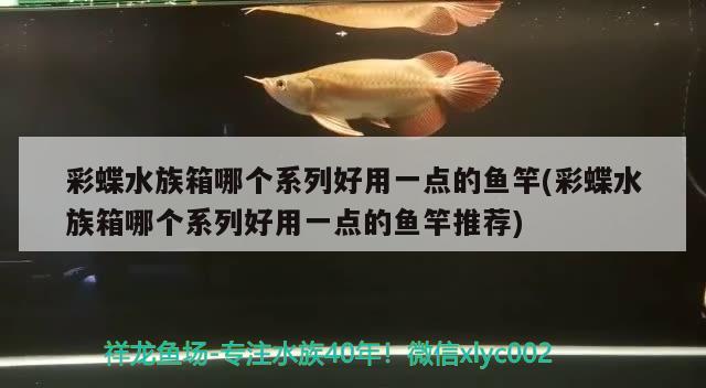 彩蝶水族箱哪個系列好用一點的魚竿(彩蝶水族箱哪個系列好用一點的魚竿推薦) 垂釣樂園