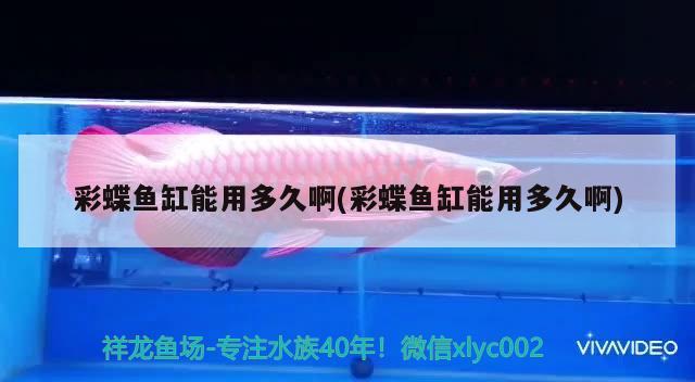 彩蝶魚(yú)缸能用多久啊(彩蝶魚(yú)缸能用多久啊)