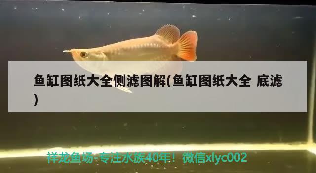 魚缸圖紙大全側(cè)濾圖解(魚缸圖紙大全底濾) 雙線側(cè)魚