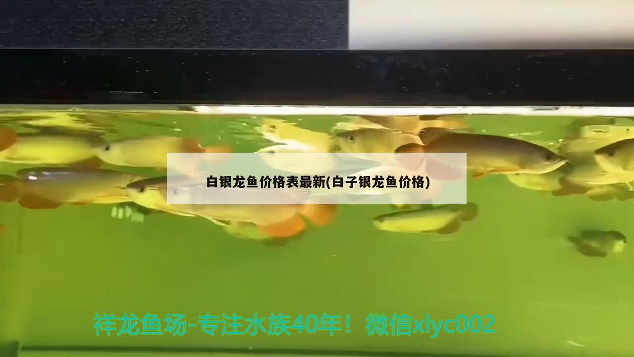 魚缸下過濾出水口改裝方案(魚缸過濾盒出水口改造) 沖氧泵