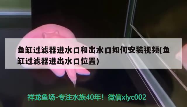 魚缸過濾器進水口和出水口如何安裝視頻(魚缸過濾器進出水口位置) 銀龍魚苗