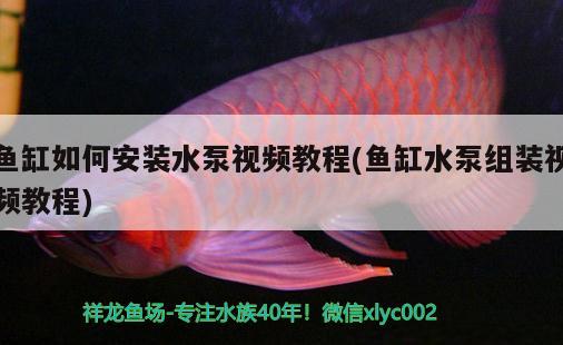 魚缸如何安裝水泵視頻教程(魚缸水泵組裝視頻教程)