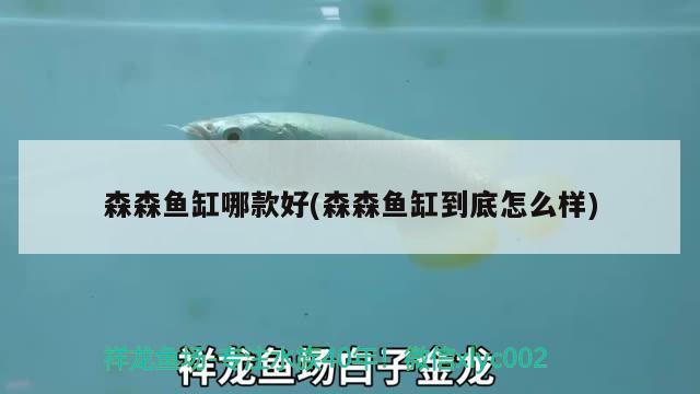 水族箱漏水了維修電話（ 水族箱底漏水怎樣修?） 水族周邊