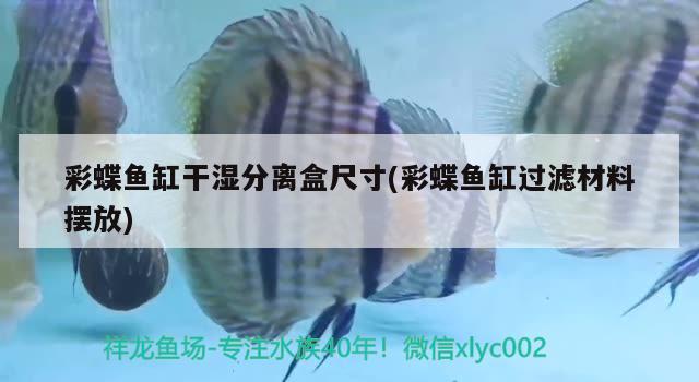 彩蝶魚缸干濕分離盒尺寸(彩蝶魚缸過(guò)濾材料擺放)