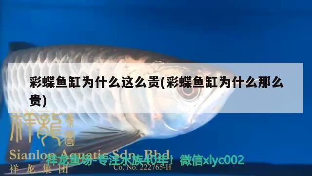 彩蝶魚缸為什么這么貴(彩蝶魚缸為什么那么貴) 熊貓異形魚L46