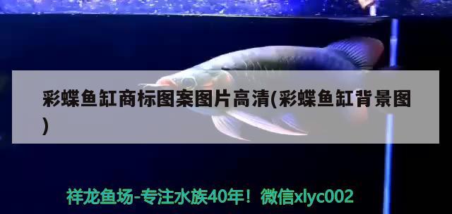 彩蝶魚缸商標圖案圖片高清(彩蝶魚缸背景圖) 黑金魟魚