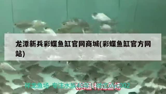 急問題求教地圖魚 蝴蝶鯉魚苗 第2張