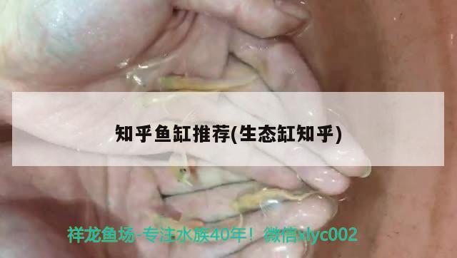 知乎魚(yú)缸推薦(生態(tài)缸知乎) 一眉道人魚(yú)苗