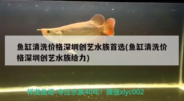 魚缸清洗價格深圳創(chuàng)藝水族首選(魚缸清洗價格深圳創(chuàng)藝水族給力)