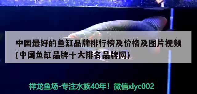 泰州水族館大神們幫我看看