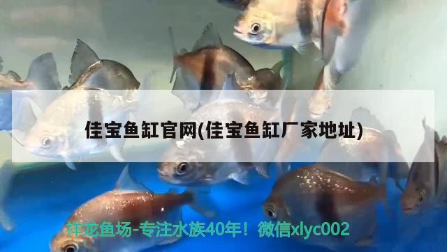 風(fēng)水魚缸擺放位置(家庭風(fēng)水魚缸擺放位置) 魚缸風(fēng)水