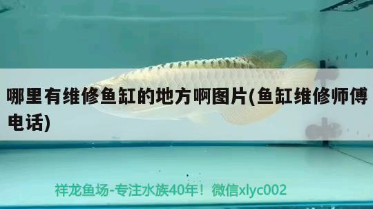 哪里有維修魚缸的地方啊圖片(魚缸維修師傅電話) 水族品牌