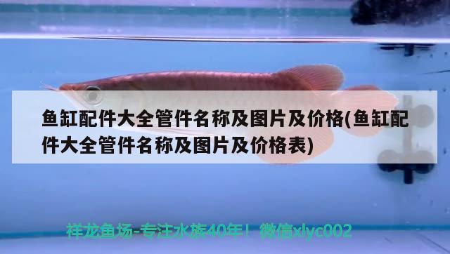 魚(yú)缸配件大全管件名稱及圖片及價(jià)格(魚(yú)缸配件大全管件名稱及圖片及價(jià)格表) 白子關(guān)刀魚(yú)