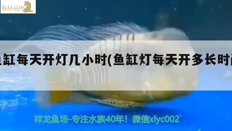 魚缸每天開燈幾小時(魚缸燈每天開多長時間)