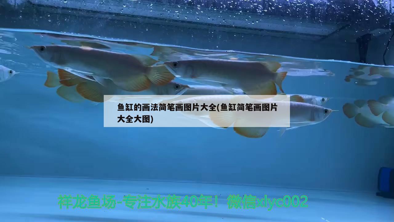 魚缸的畫法簡筆畫圖片大全(魚缸簡筆畫圖片大全大圖) 和尚魚