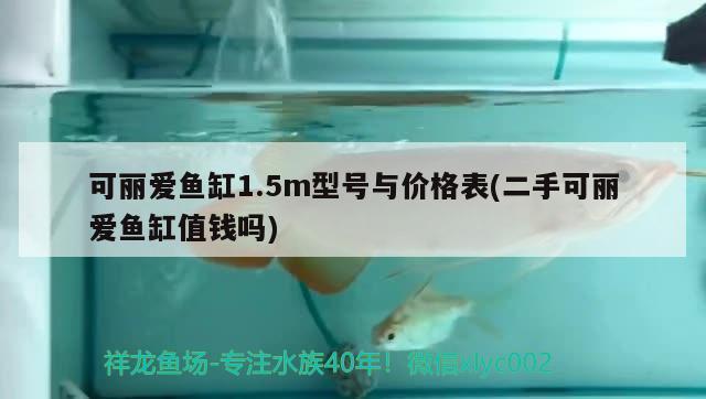 可麗愛魚缸1.5m型號與價格表(二手可麗愛魚缸值錢嗎)