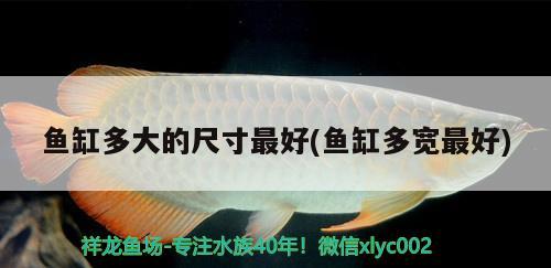 魚缸多大的尺寸最好(魚缸多寬最好) 鐵甲武士