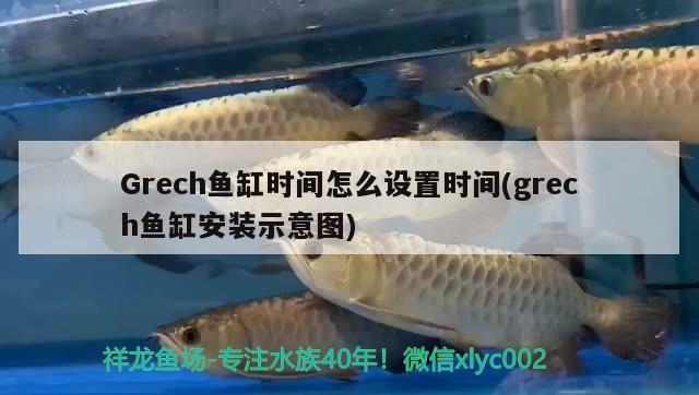 Grech魚缸時間怎么設(shè)置時間(grech魚缸安裝示意圖)