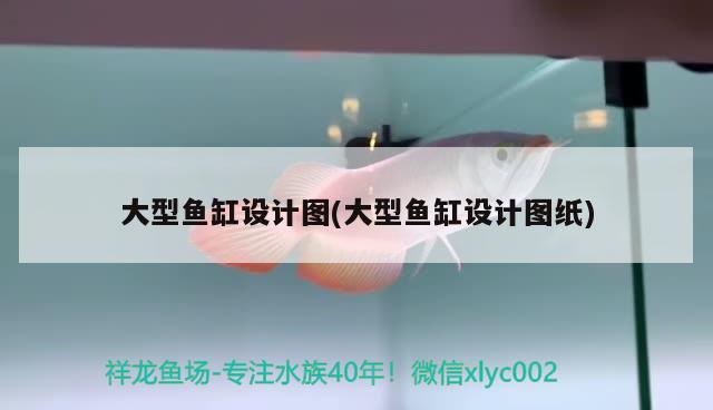 這些貨是廣州這位凌金坊皇世神龍中國總代理一凌亂的老板的我給他訂了一些三紋虎錢已經(jīng)轉(zhuǎn)過 印尼三紋虎 第3張