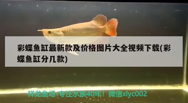 彩蝶魚缸最新款及價格圖片大全視頻下載(彩蝶魚缸分幾款) 觀賞魚魚苗