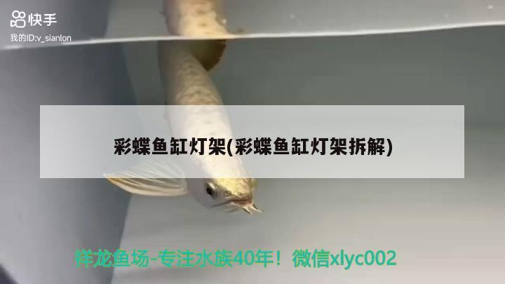 彩蝶魚缸燈架(彩蝶魚缸燈架拆解) 水族維護服務(wù)（上門）