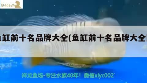 魚缸前十名品牌大全(魚缸前十名品牌大全圖)