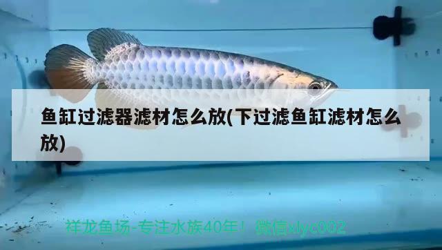 魚缸過濾器濾材怎么放(下過濾魚缸濾材怎么放) 銀古魚苗