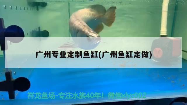 魚缸水族箱品牌排行榜大全：魚缸水族箱十大品牌