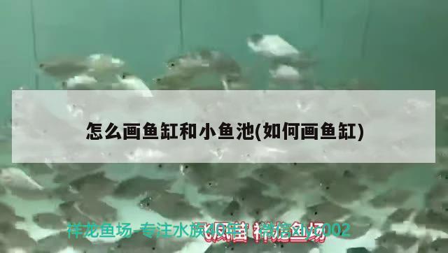 南通哪里有賣魚缸的？，興平哪里有賣魚缸的興平哪里有賣魚缸的興平哪里有賣魚缸的 海象魚 第2張