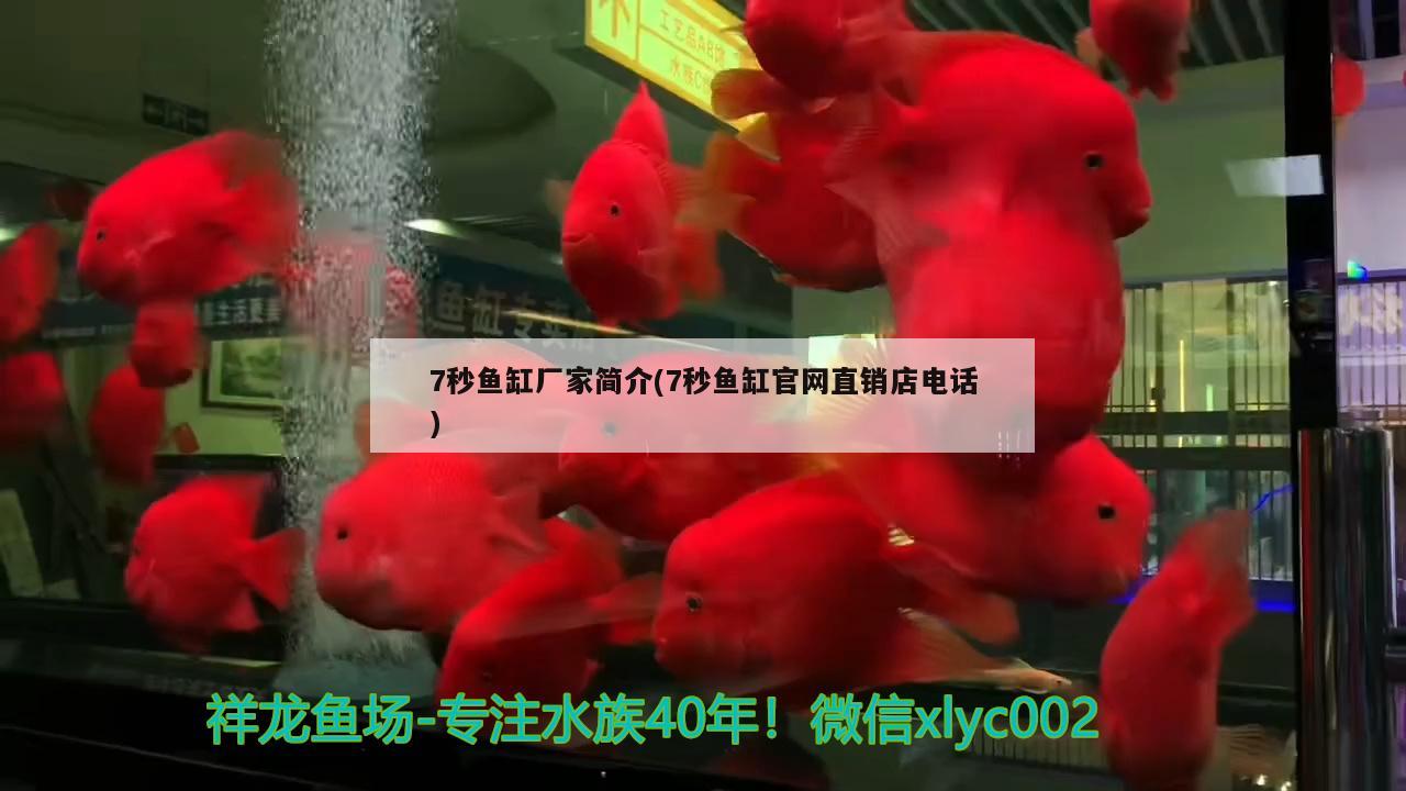 蚌埠水族館FOT少年人 祥龍水族護理水 第2張