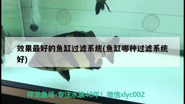 水族魚缸怎么安裝好看圖片大全（水族魚缸安裝視頻） 孵化器