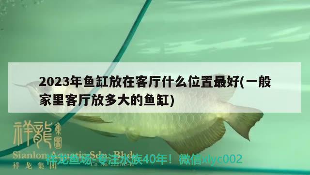 2023年魚(yú)缸放在客廳什么位置最好(一般家里客廳放多大的魚(yú)缸) 白子銀版魚(yú)