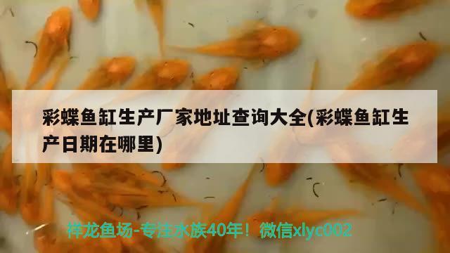 彩蝶魚(yú)缸生產(chǎn)廠家地址查詢大全(彩蝶魚(yú)缸生產(chǎn)日期在哪里) 祥龍超血紅龍魚(yú)