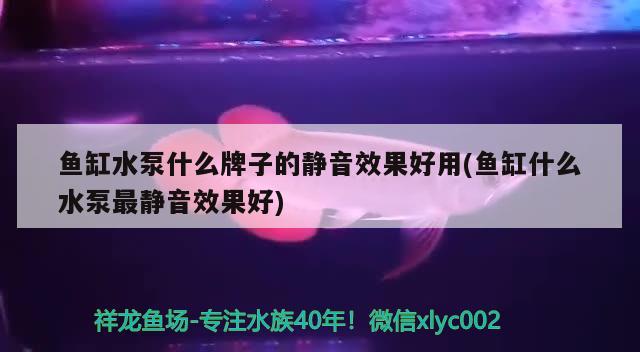 通過(guò)明教圣貓的考驗(yàn)：通過(guò)明教圣貓的考驗(yàn)有哪些