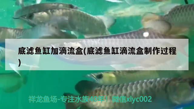 底濾魚缸加滴流盒(底濾魚缸滴流盒制作過程)