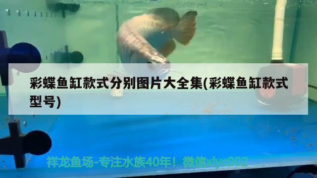 彩蝶魚缸款式分別圖片大全集(彩蝶魚缸款式型號)