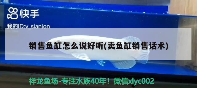 銷售魚缸怎么說好聽(賣魚缸銷售話術(shù))