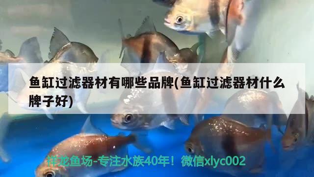 魚缸過濾器材有哪些品牌(魚缸過濾器材什么牌子好)